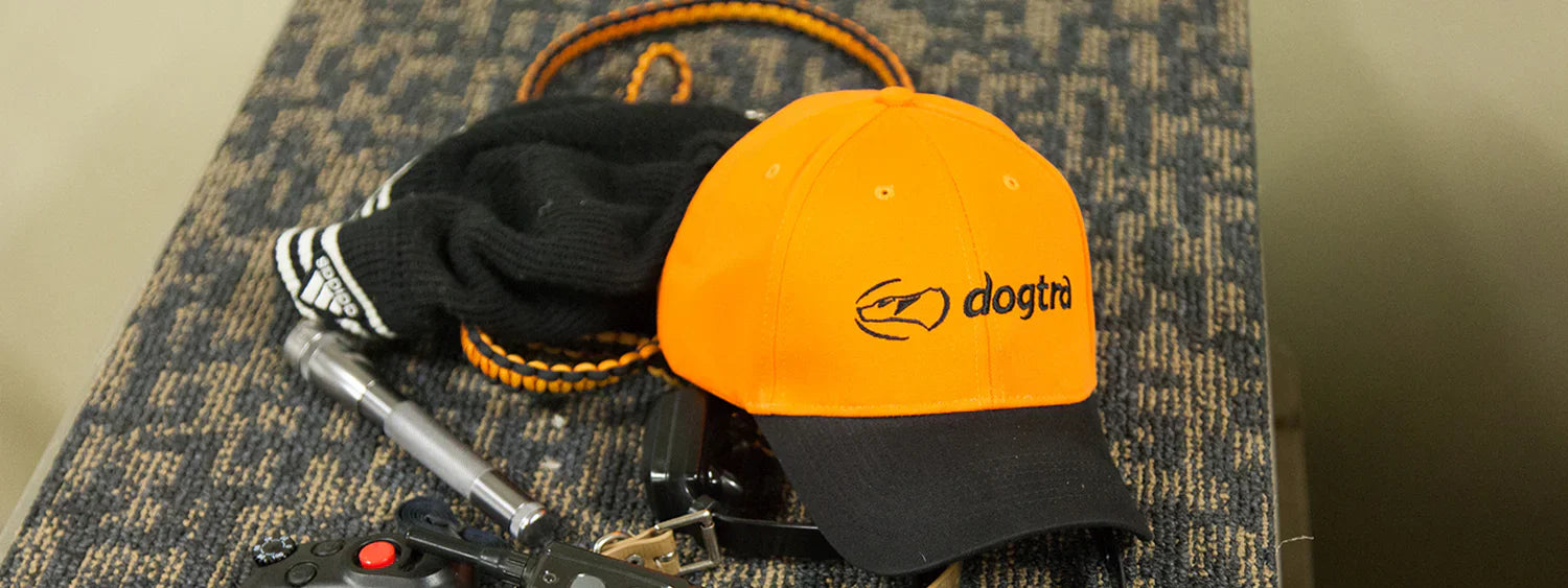 Accessories – Dogtra