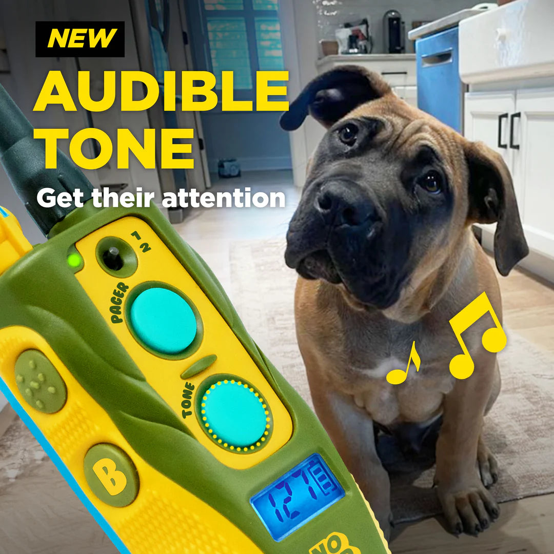 Tom Davis 280C 2.0 Additional Receiver