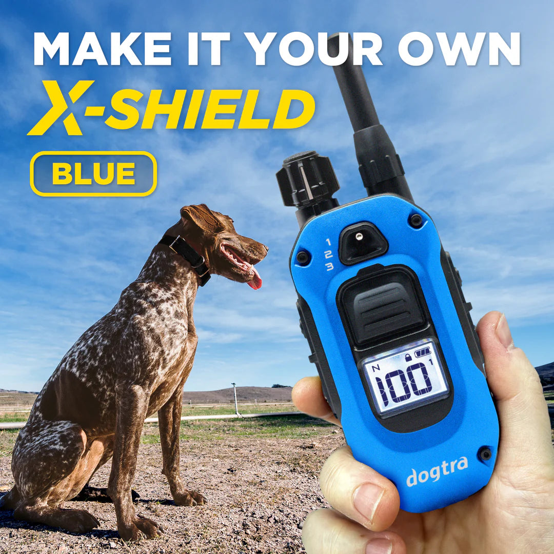 X-SHIELD BLUE