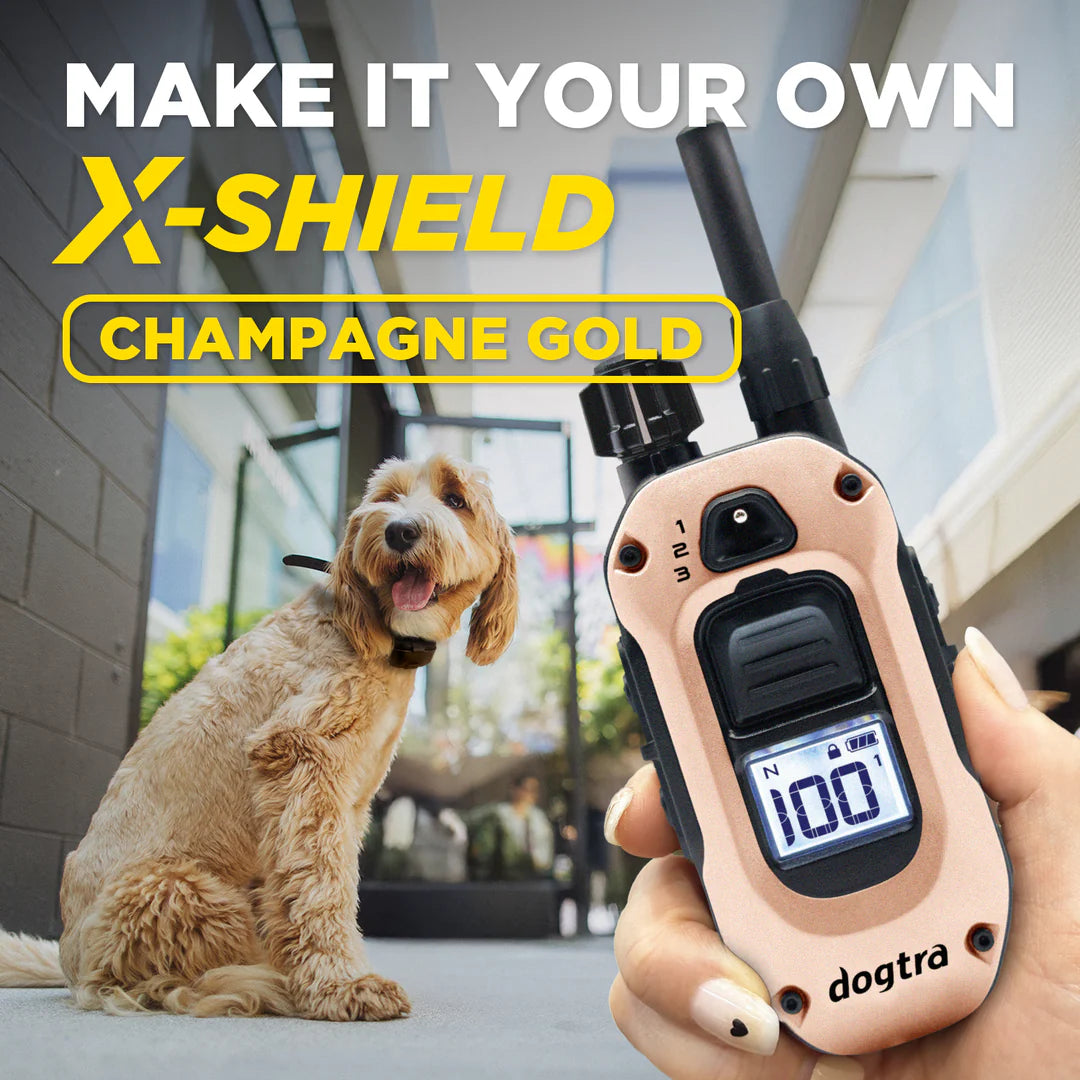 X-SHIELD CHAMPAGNE GOLD
