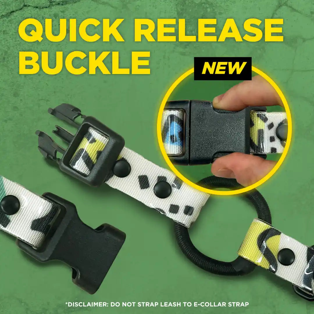 Tom Davis 280C 2.0 Additional Receiver