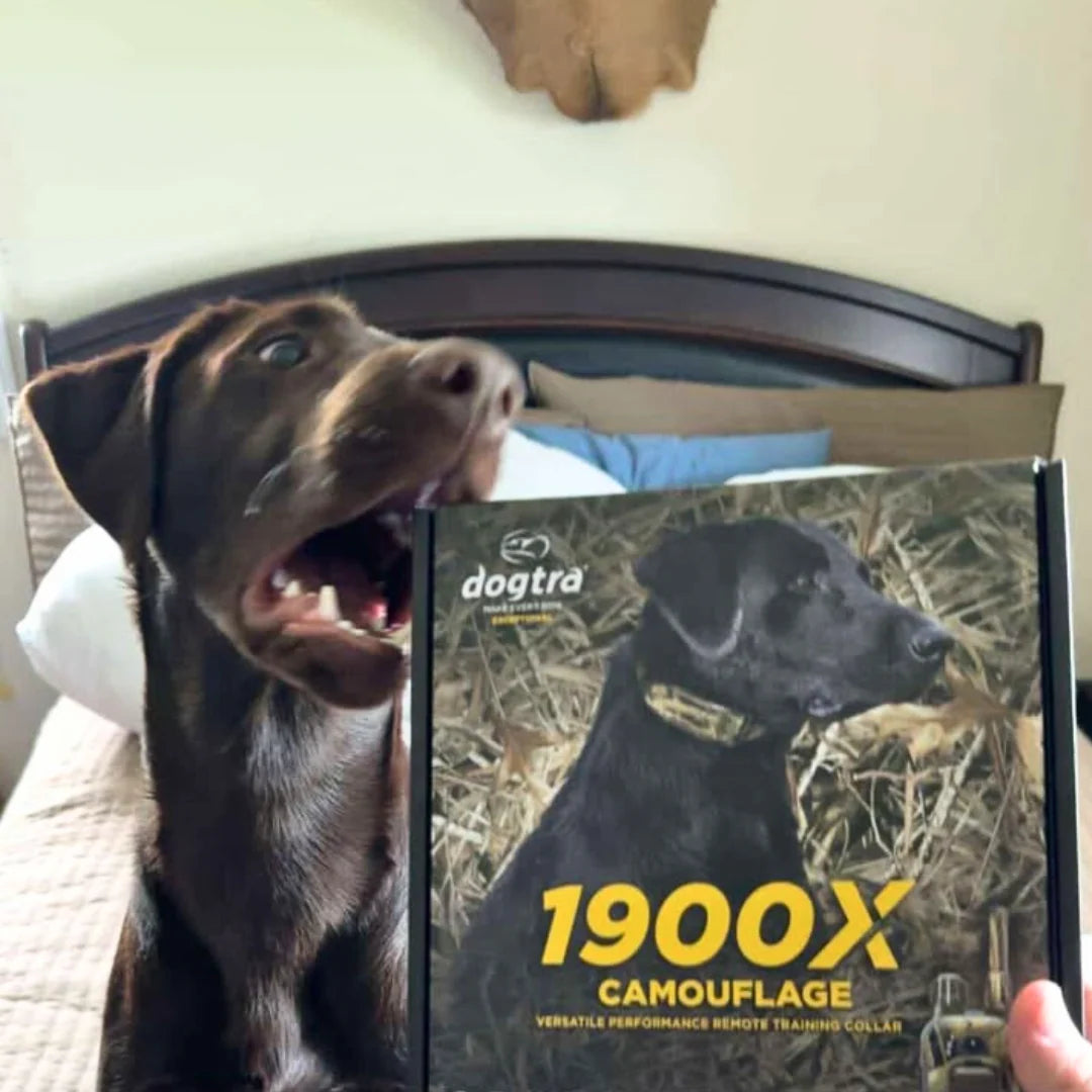 1900X CAMOUFLAGE 1-DOG UNIT