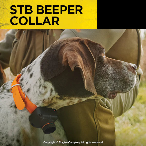 STB BEEPER COLLAR