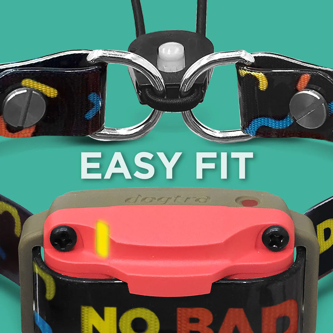 TOM DAVIS EDITION 280C BOOST & LOCK