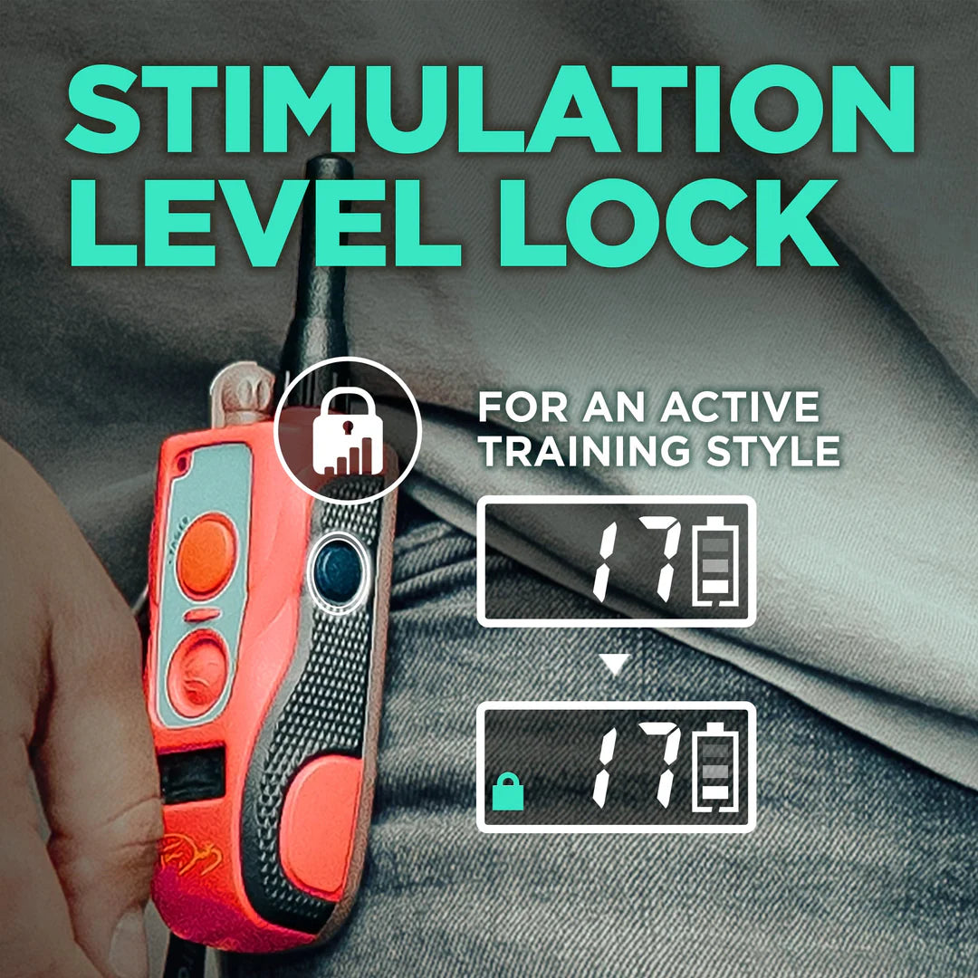 TOM DAVIS EDITION 280C BOOST & LOCK