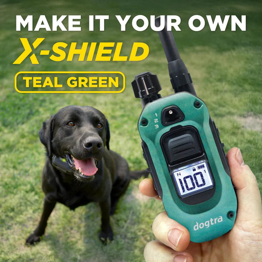 X-SHIELD TEAL GREEN