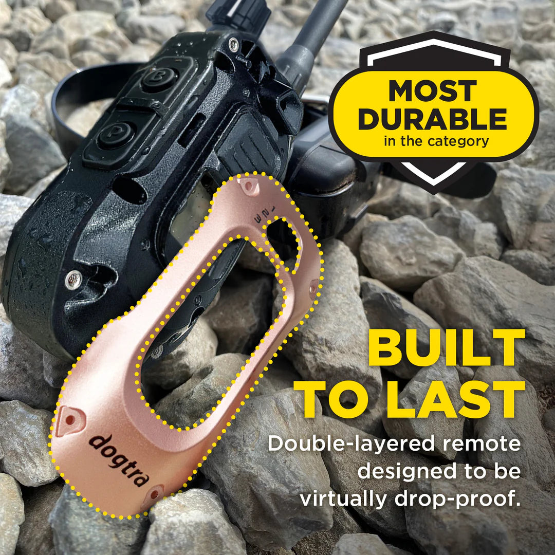 X-SHIELD CHAMPAGNE GOLD