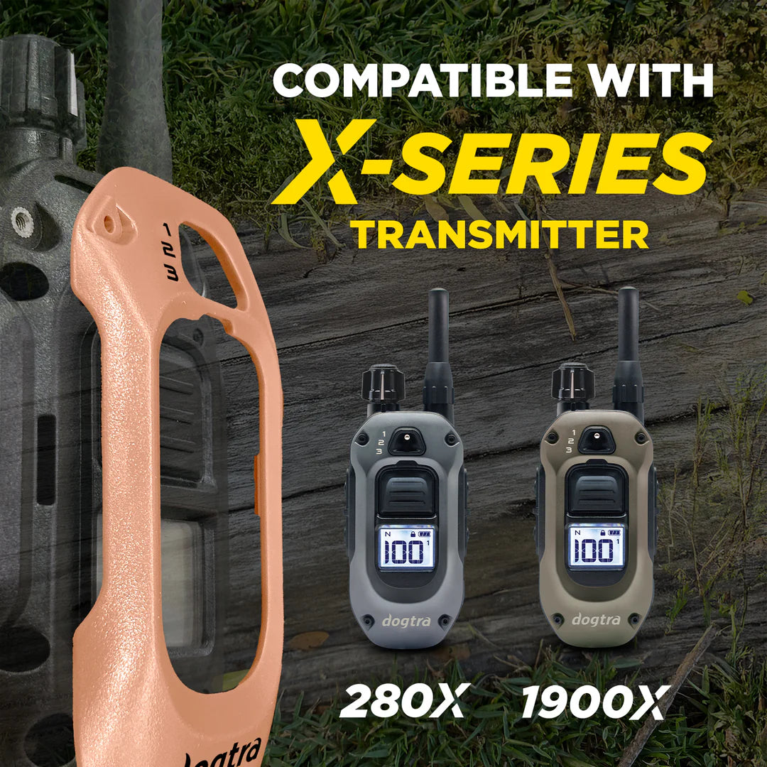 X-SHIELD CHAMPAGNE GOLD