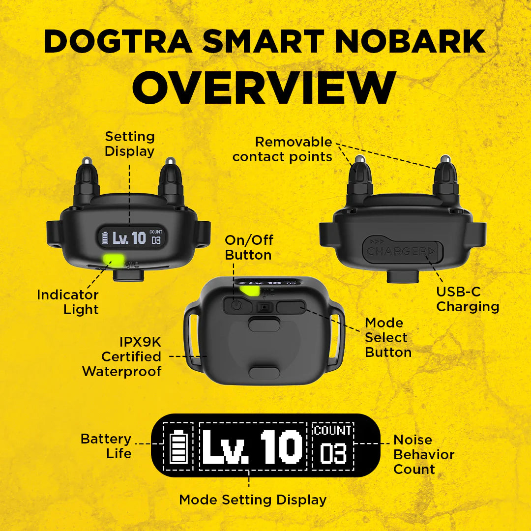 Dogtra Smart Nobark