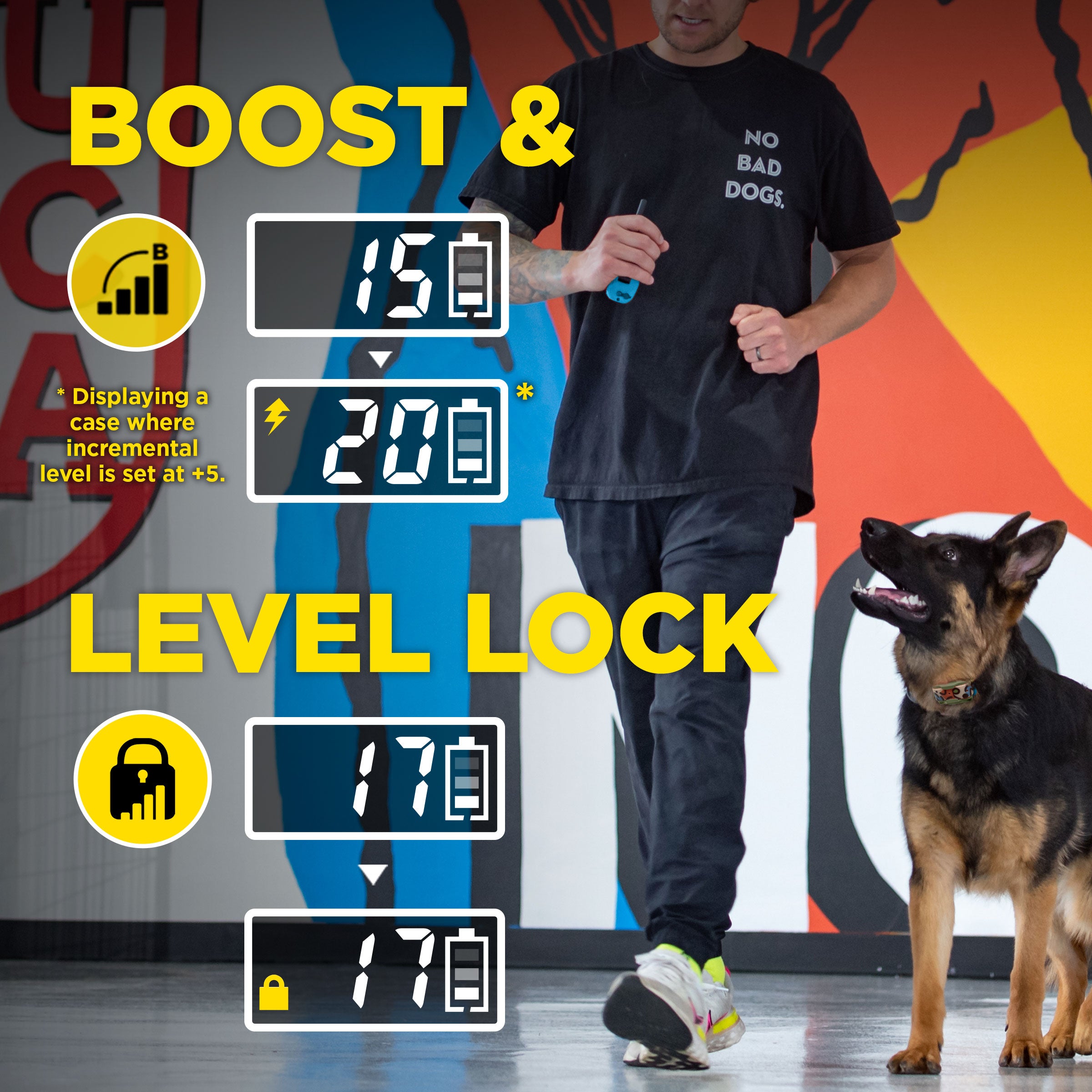 Tom Davis 280C 2.0 – Dogtra