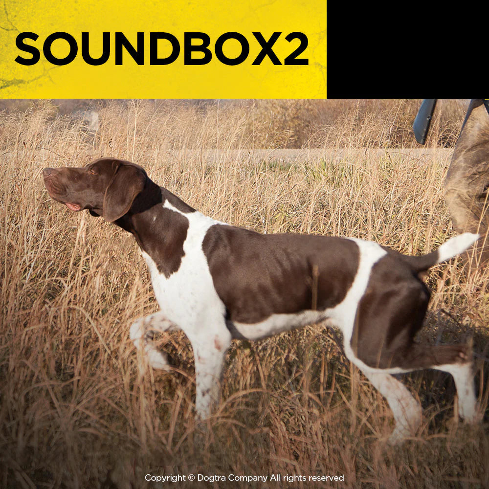 Sound Box 2