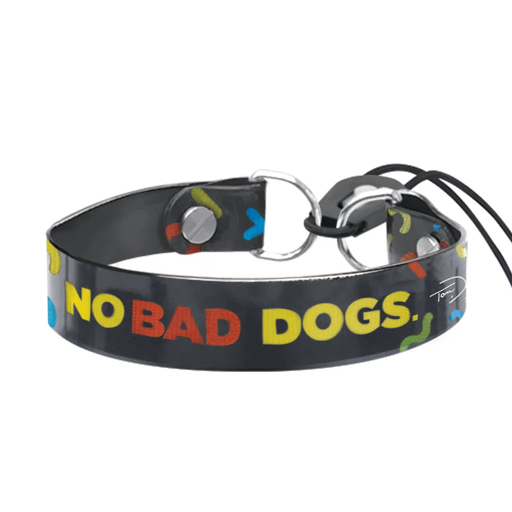 TOM DAVIS ED BUNGEE COLLAR