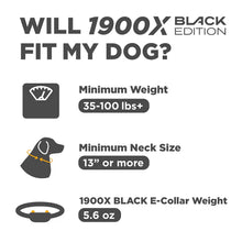 1900X BLACK EDITION 1-DOG UNIT