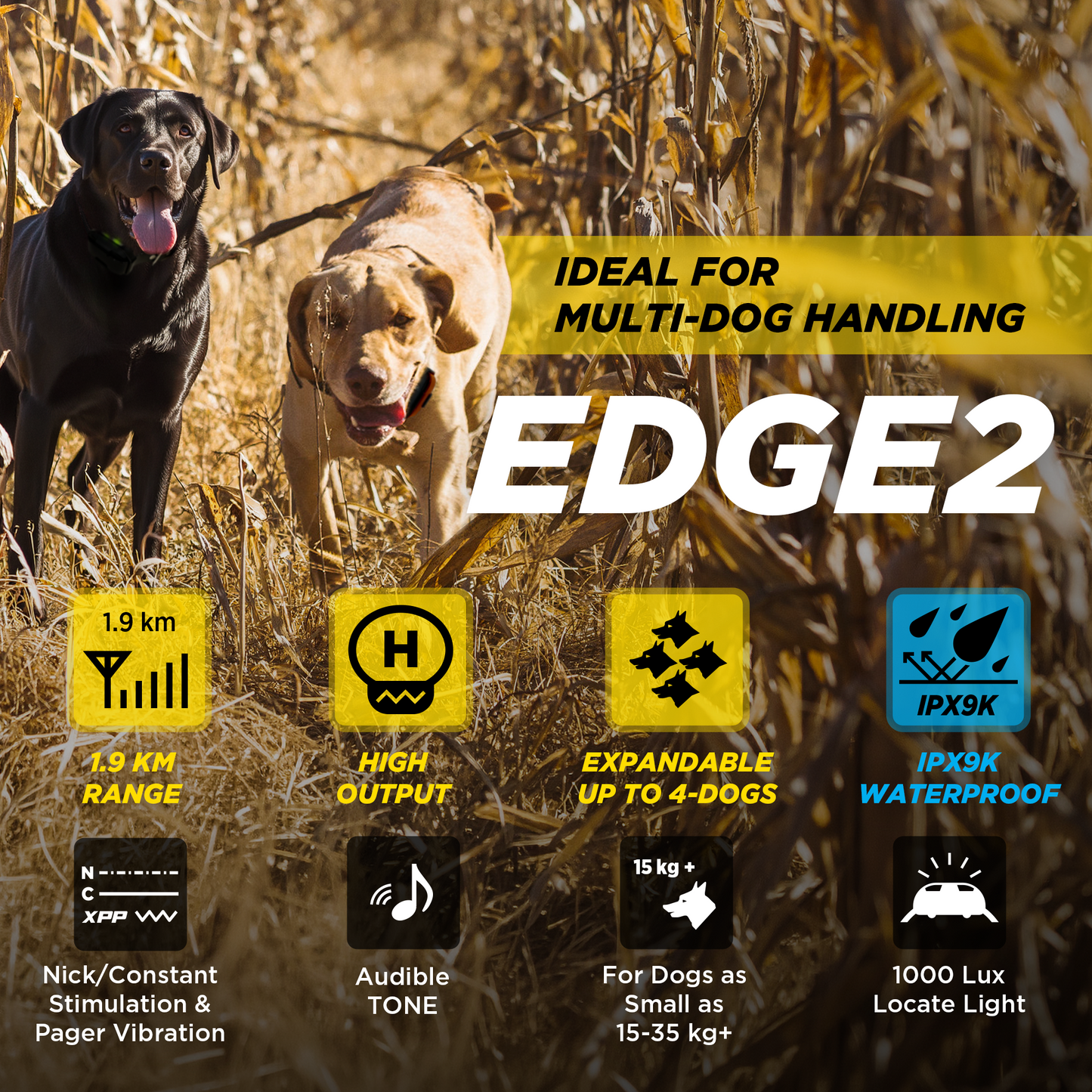 EDGE 2