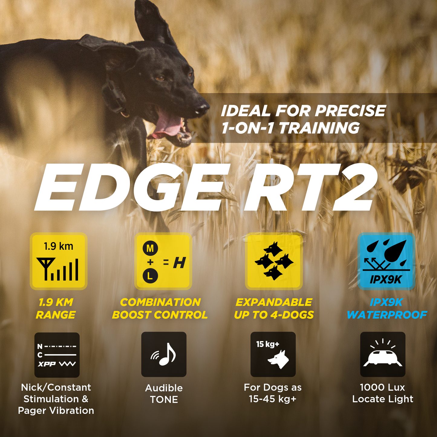 EDGE RT 2