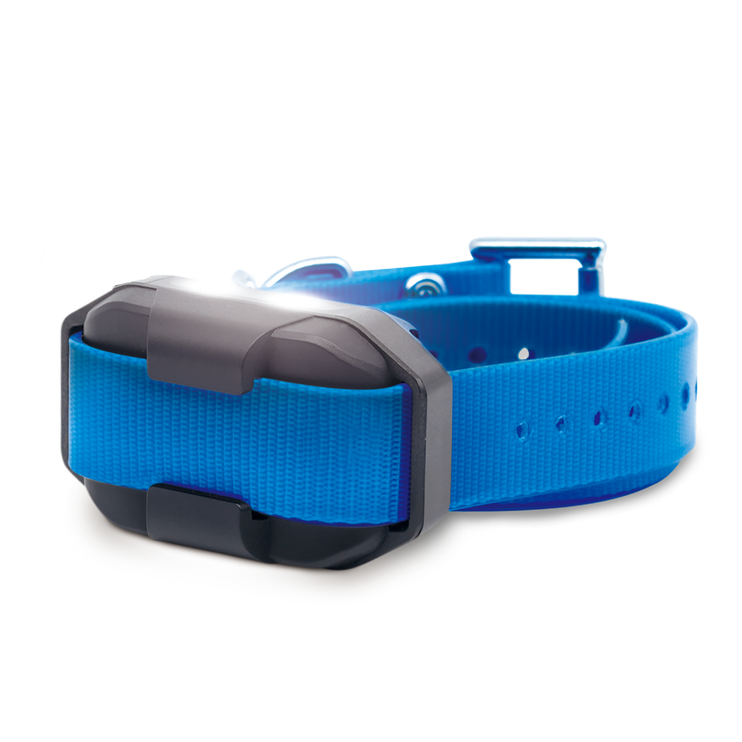 EDGE 2 ADDITIONAL RECEIVER BLUE