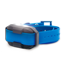 EDGE 2 ADDITIONAL RECEIVER BLUE