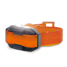 EDGE 2 ADDITIONAL RECEIVER ORANGE