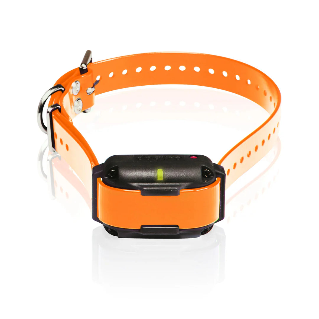 CA EDGE RT ADDITIONAL RECEIVER - ORANGE