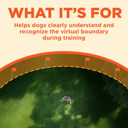 TRAINING FLAG_ORANGE