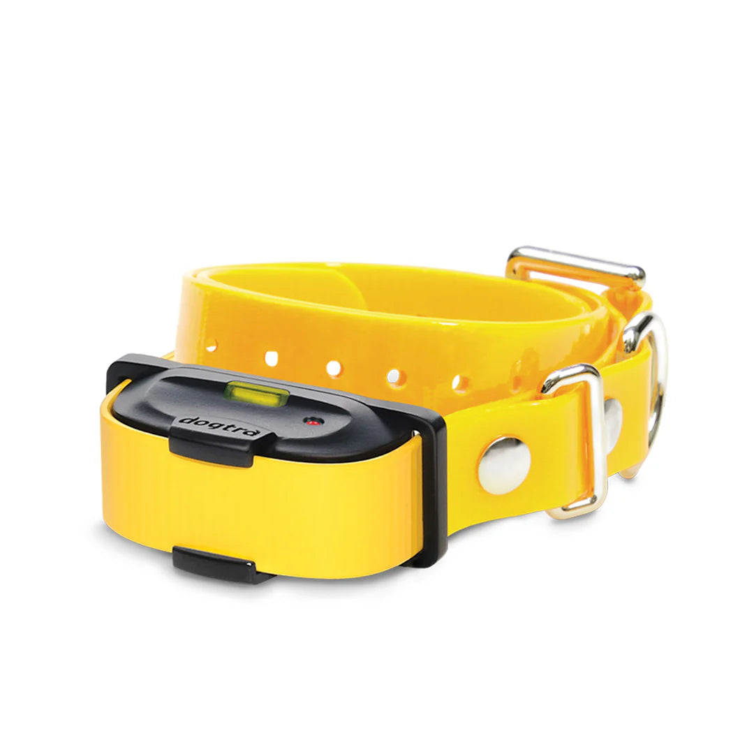 iQ MINI ADDITIONAL RECEIVER GOLDEN YELLOW