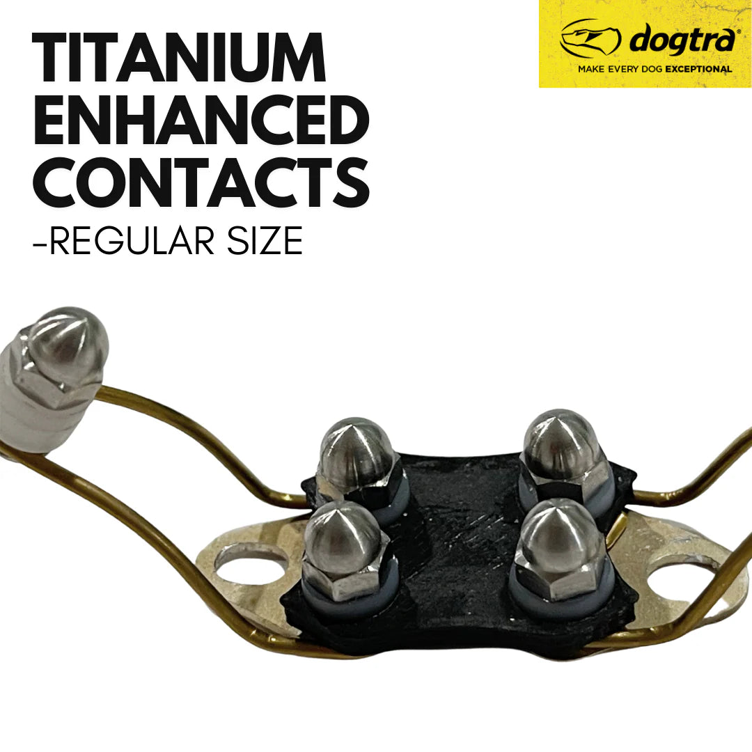 TITANIUM ENHANCED CONTACTS REGULAR