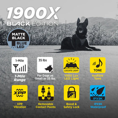 1900X BLACK EDITION ADD RX