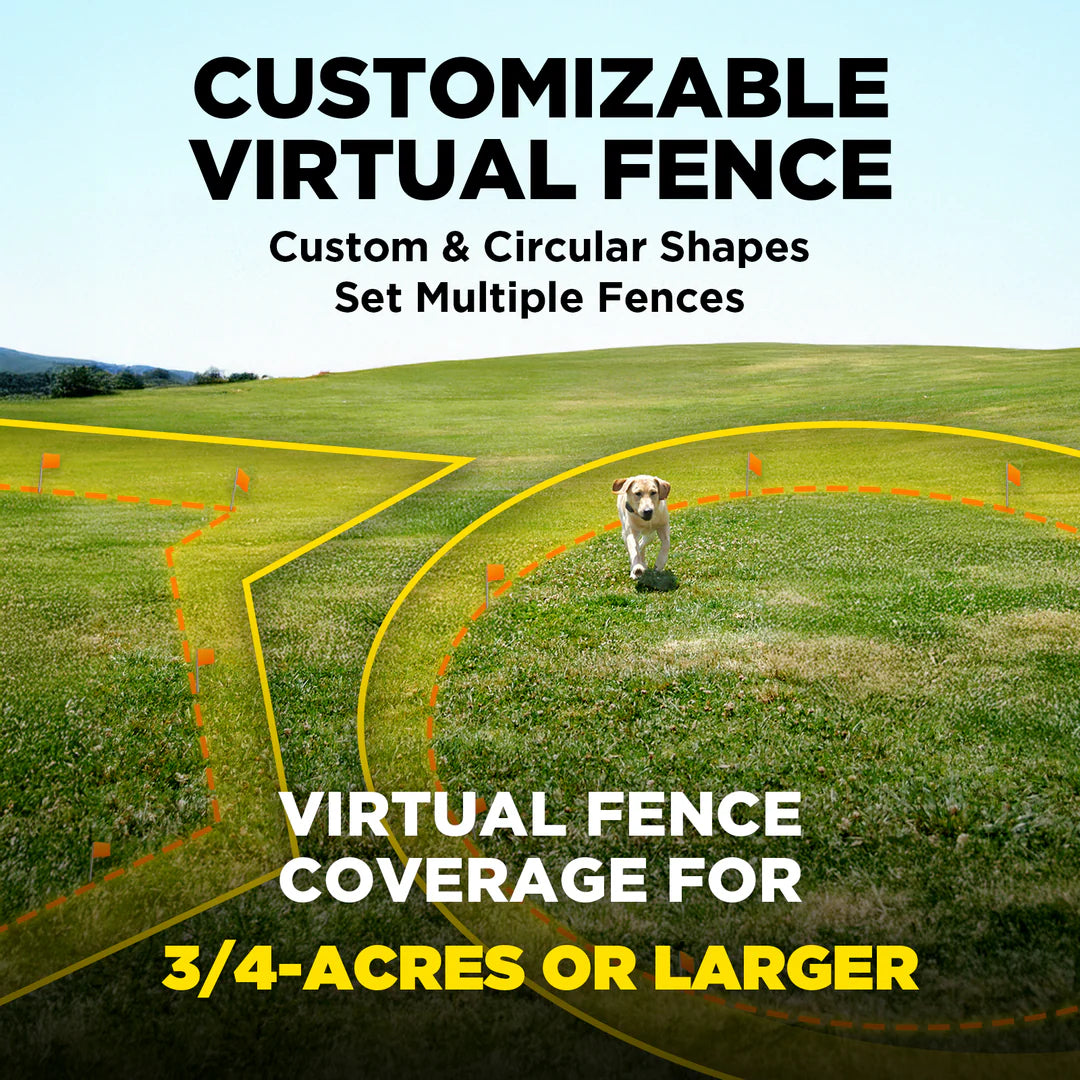 DOGTRA GPS FENCE