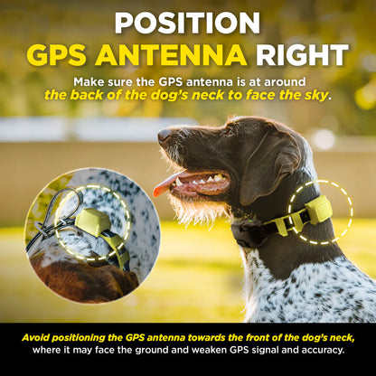 DOGTRA GPS FENCE