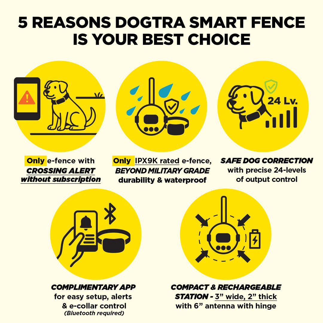 DOGTRA SMART FENCE
