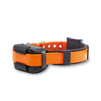 DOGTRA SMART FENCE ADD RX