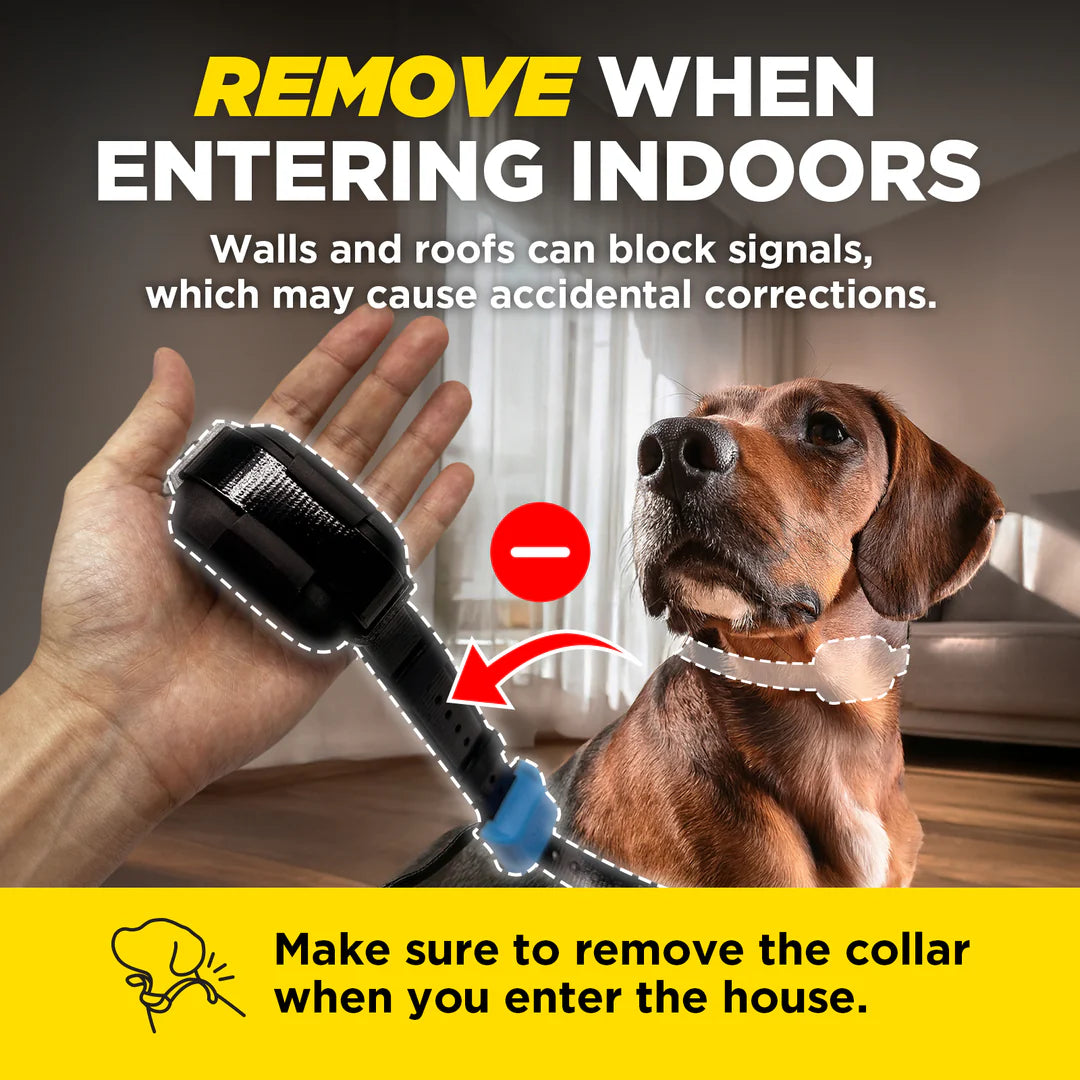 DOGTRA SMART FENCE ADD RX
