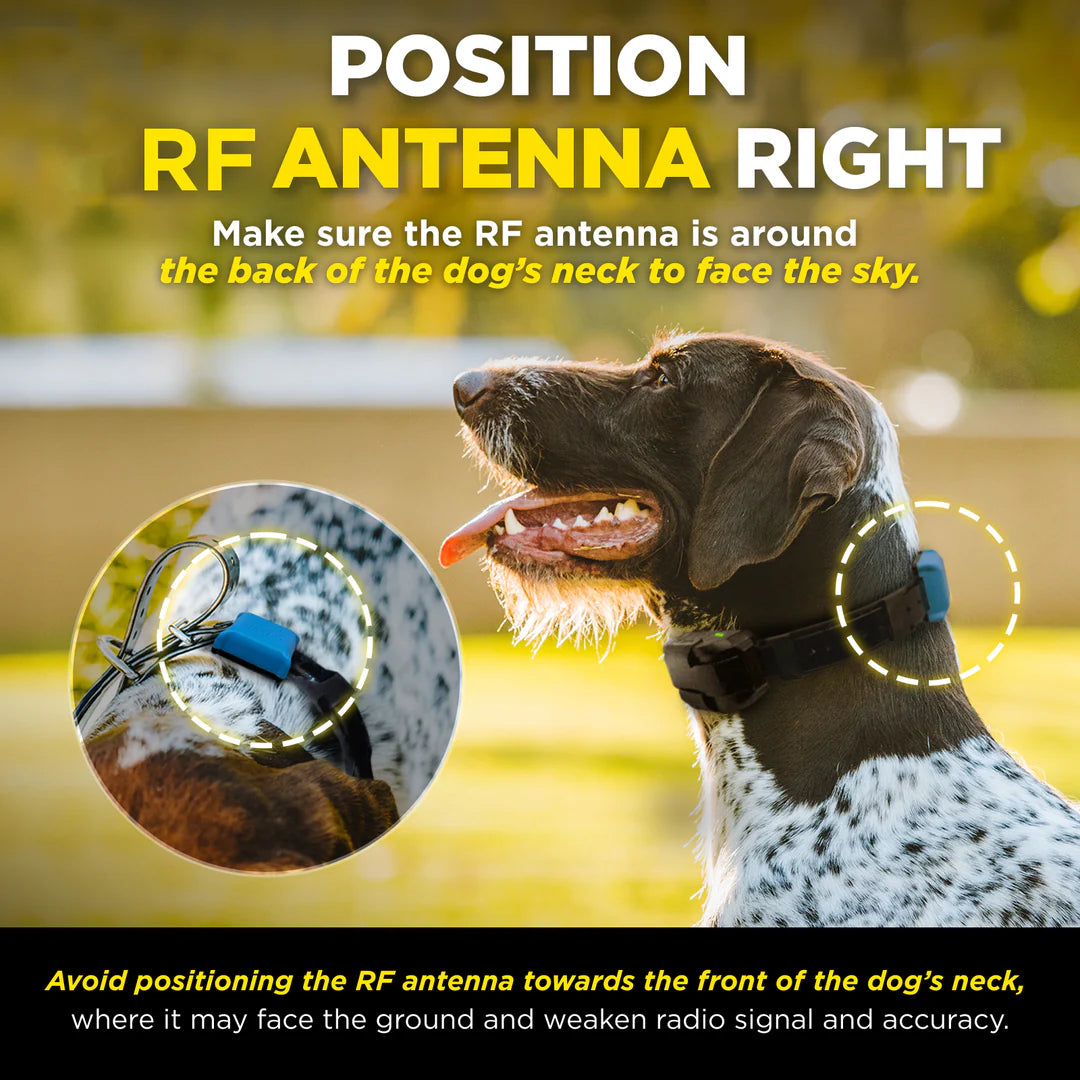 DOGTRA SMART FENCE ADD RX